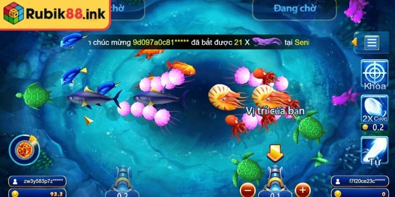 Cách Chơi Cá Cược Câu Cá Chiến Rubik88 Nhận Thưởng Khủng 3 Chọn kỹ mục tiêu
